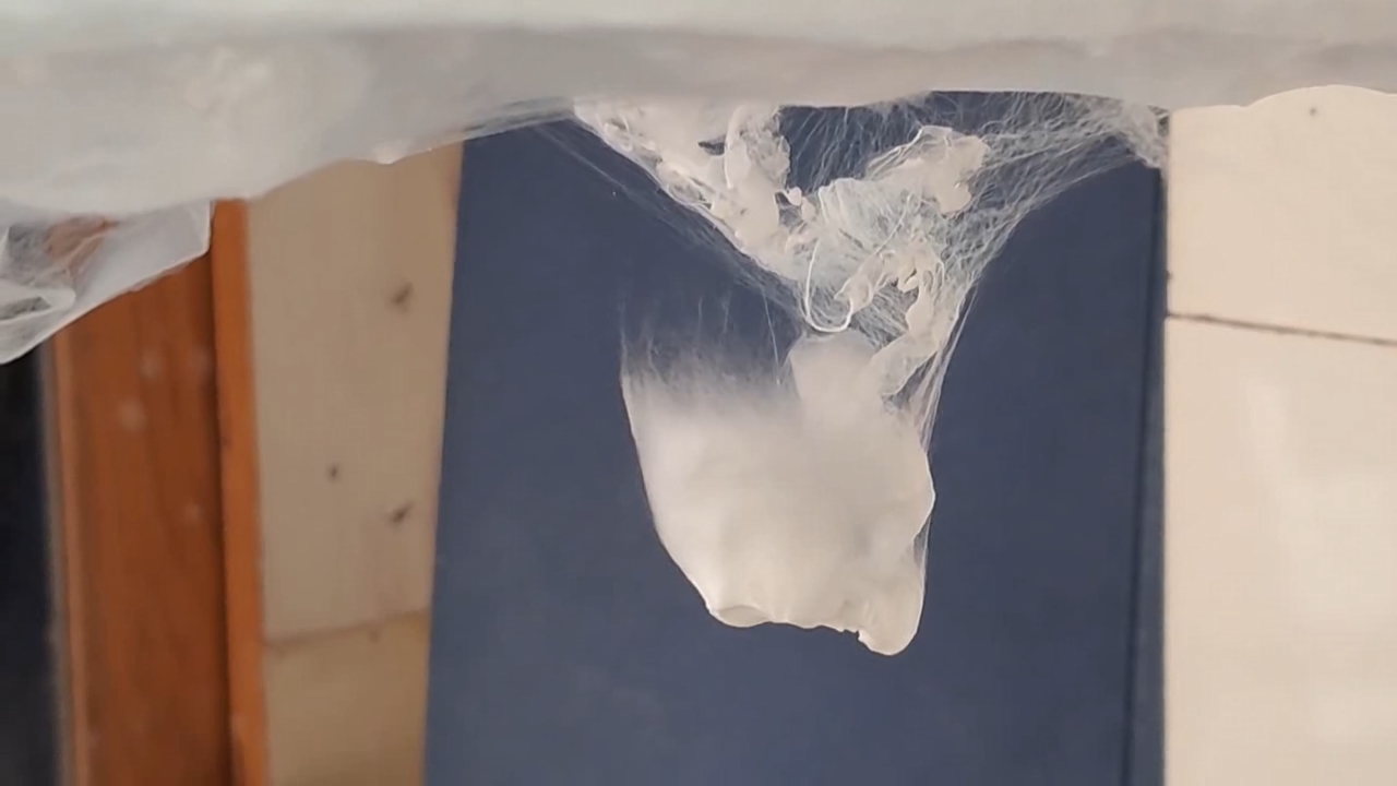 Electrospinning: Solutions of Polystyrene in Dimethylformamide