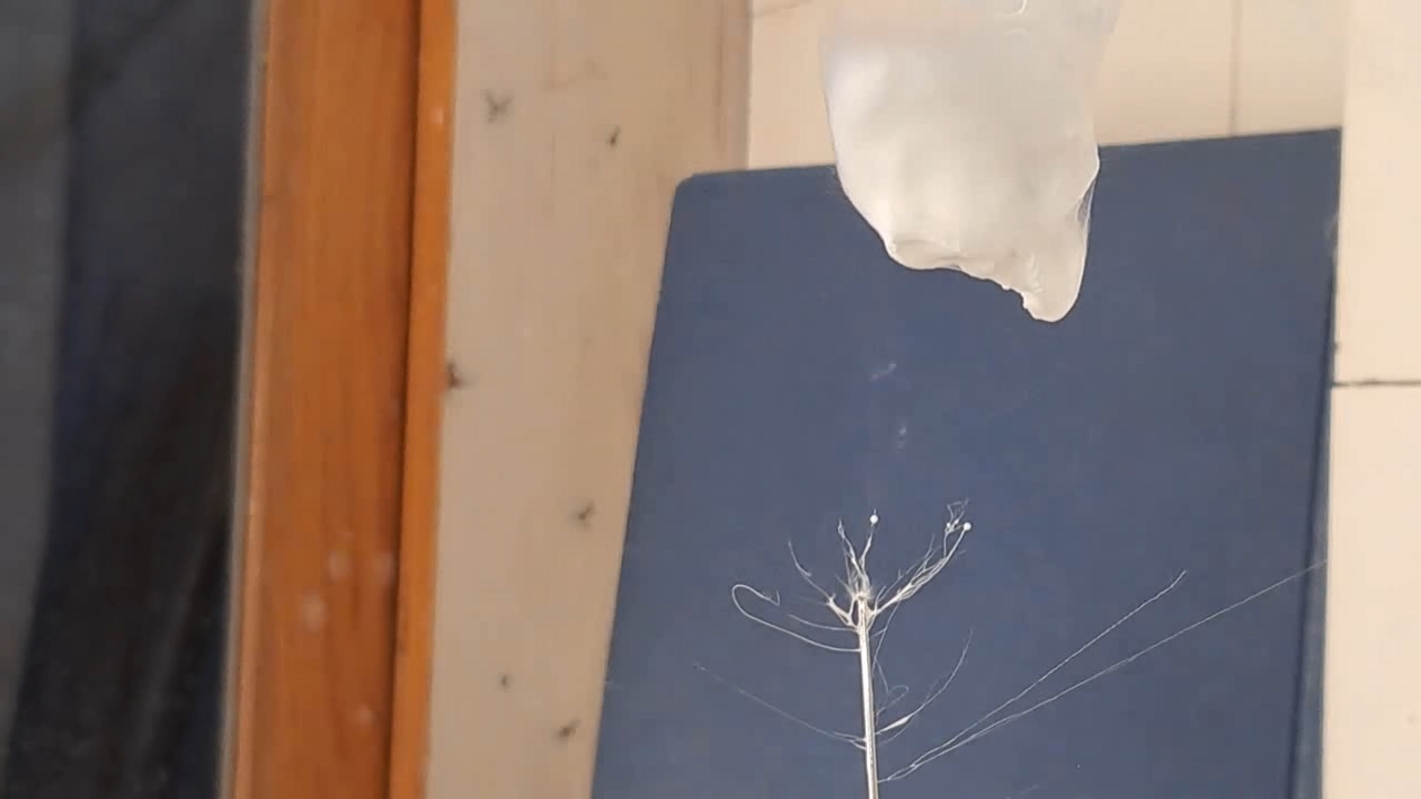 Electrospinning: Solutions of Polystyrene in Dimethylformamide