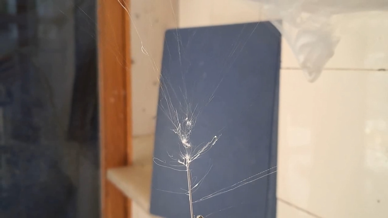 Electrospinning: Solutions of Polystyrene in Dimethylformamide