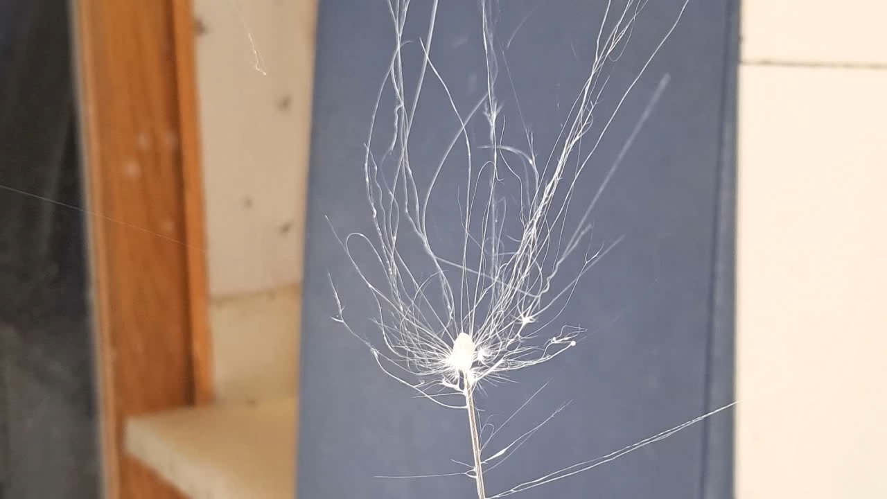 Electrospinning: Solutions of Polystyrene in Dimethylformamide