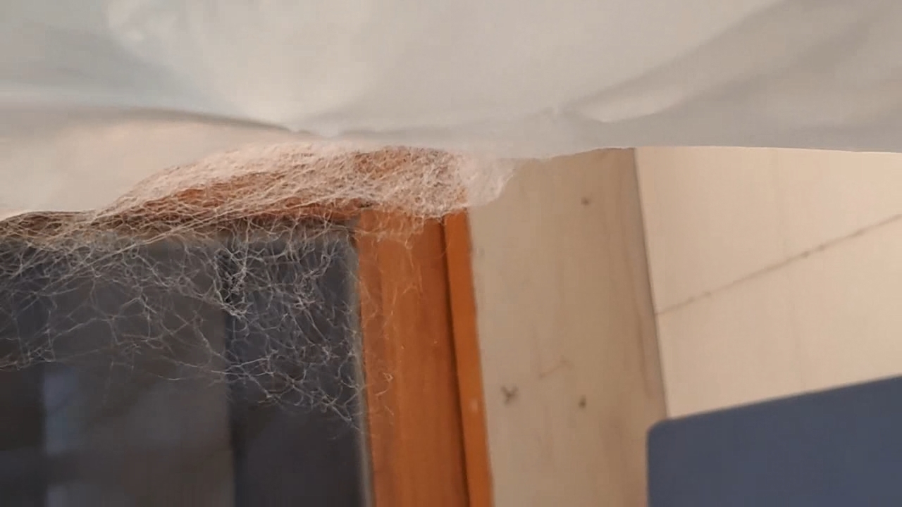 Electrospinning: Solutions of Polystyrene in Dimethylformamide