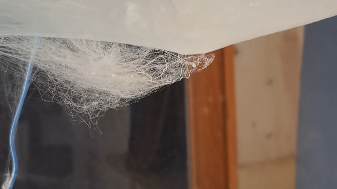 Electrospinning: Solutions of Polystyrene in Dimethylformamide