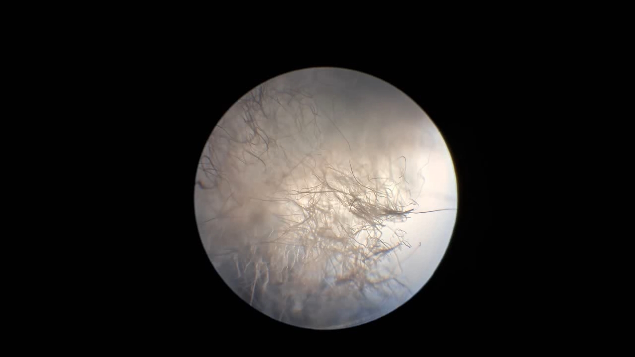 Electrospinning: Solutions of Polystyrene in Dimethylformamide