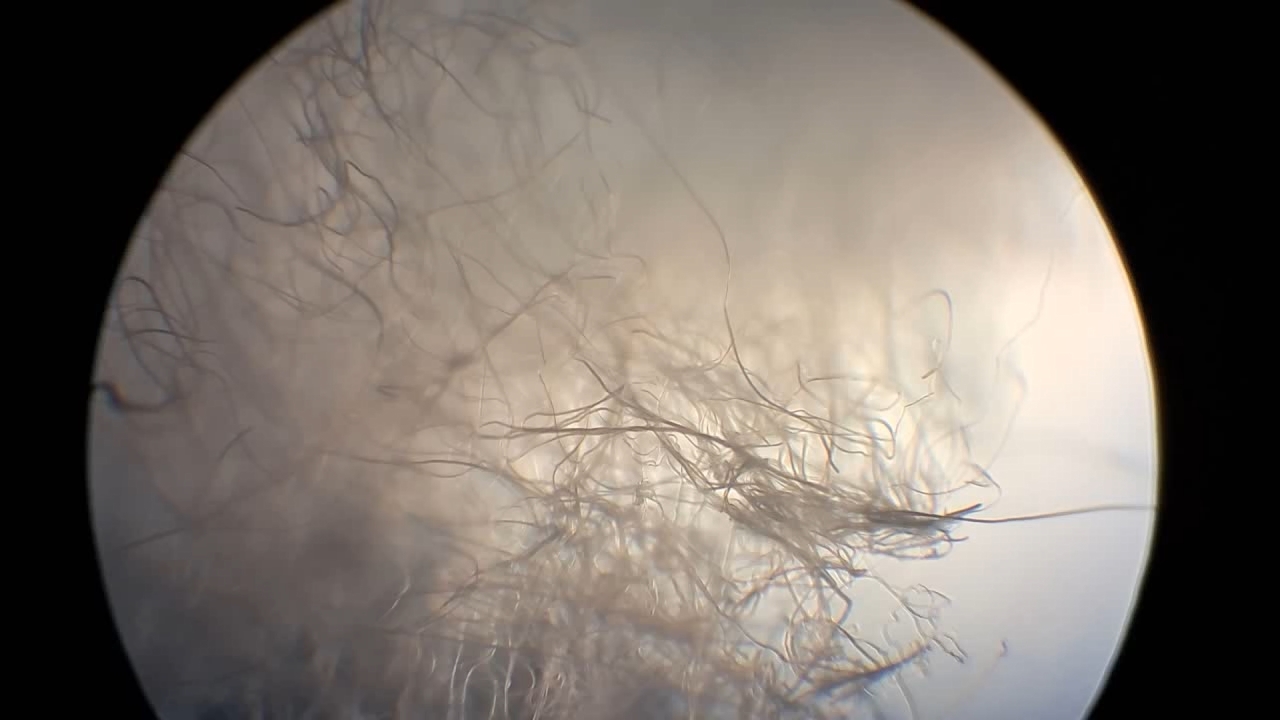 Electrospinning: Solutions of Polystyrene in Dimethylformamide