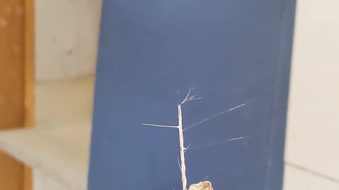 Electrospinning: Solutions of Polystyrene in Dimethylformamide