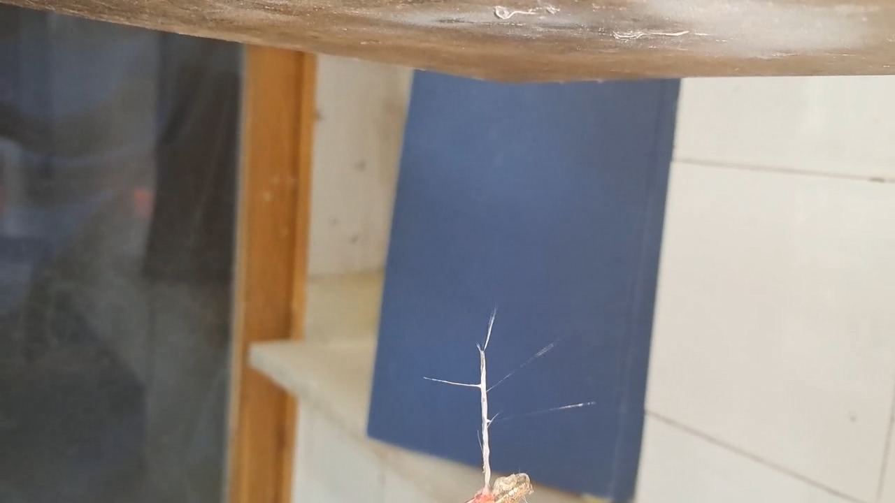 Electrospinning: Solutions of Polystyrene in Dimethylformamide