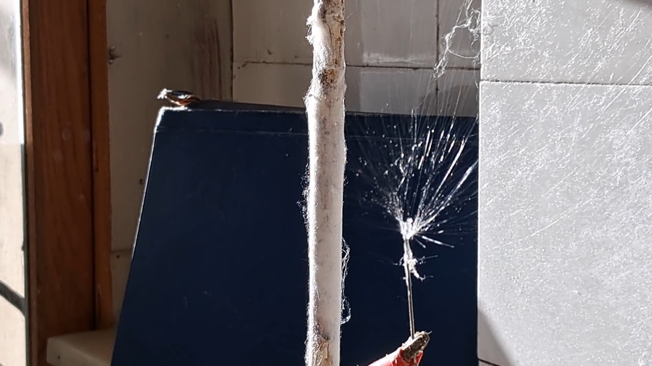 Electrospinning: Solution of Polystyrene in Ethyl Acetate