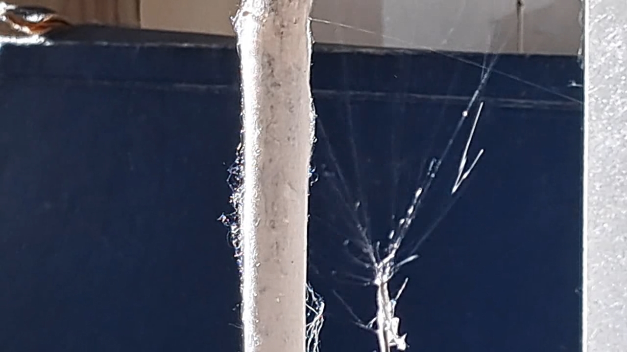 Electrospinning: Solution of Polystyrene in Ethyl Acetate