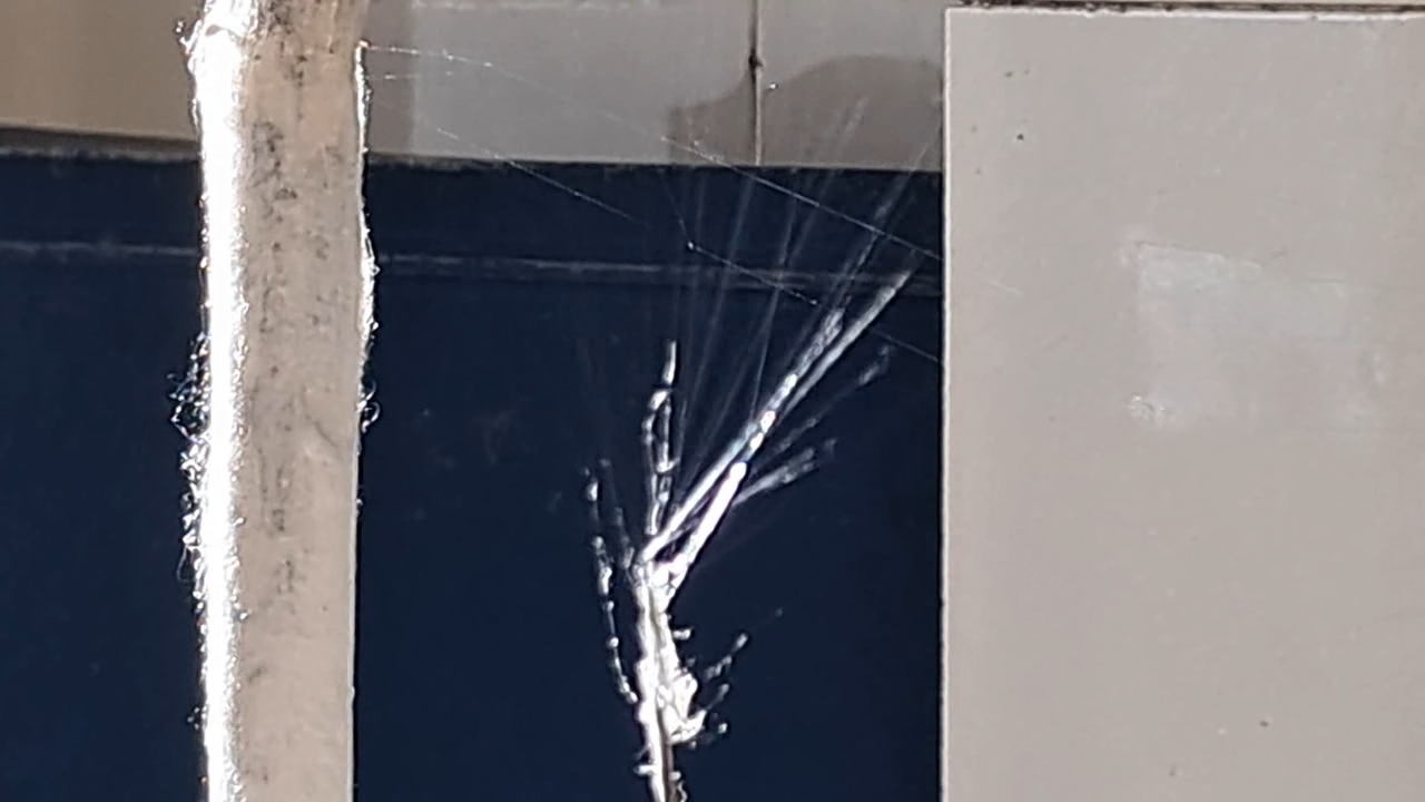 Electrospinning: Solution of Polystyrene in Ethyl Acetate