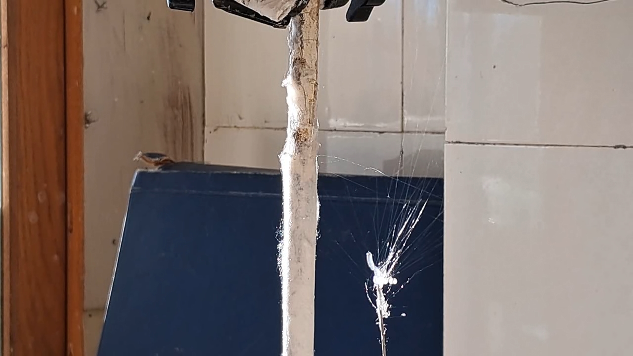 Electrospinning: Solution of Polystyrene in Ethyl Acetate