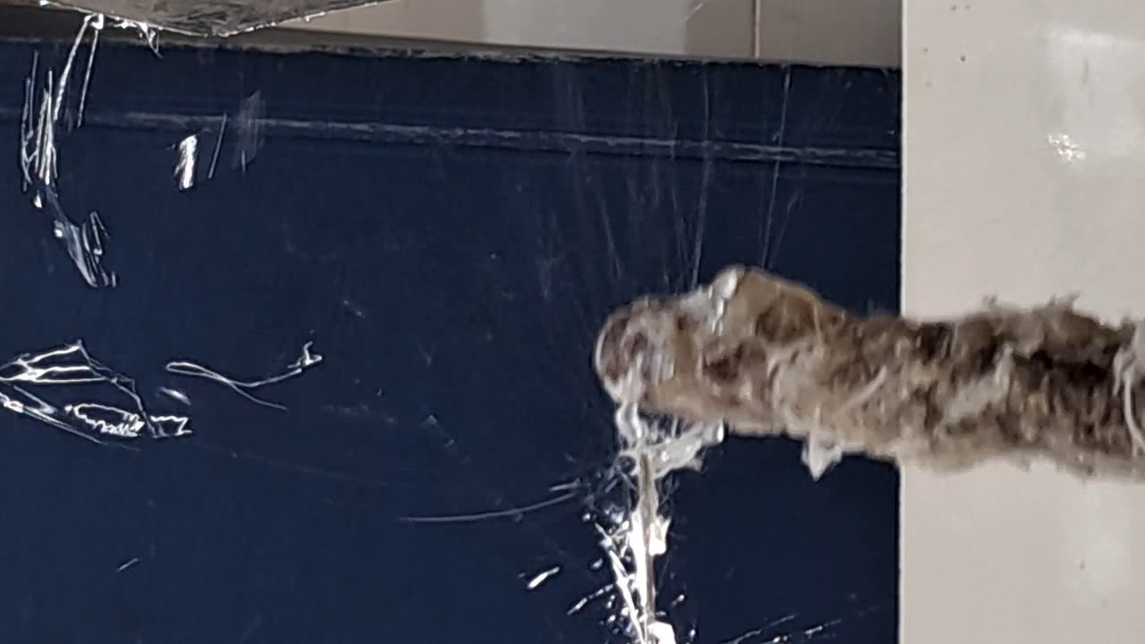 Electrospinning: Solution of Polystyrene in Ethyl Acetate