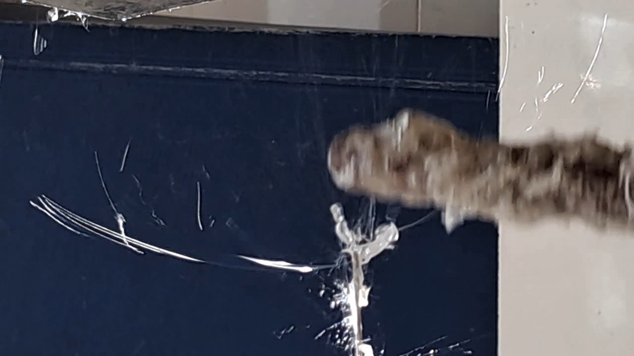 Electrospinning: Solution of Polystyrene in Ethyl Acetate