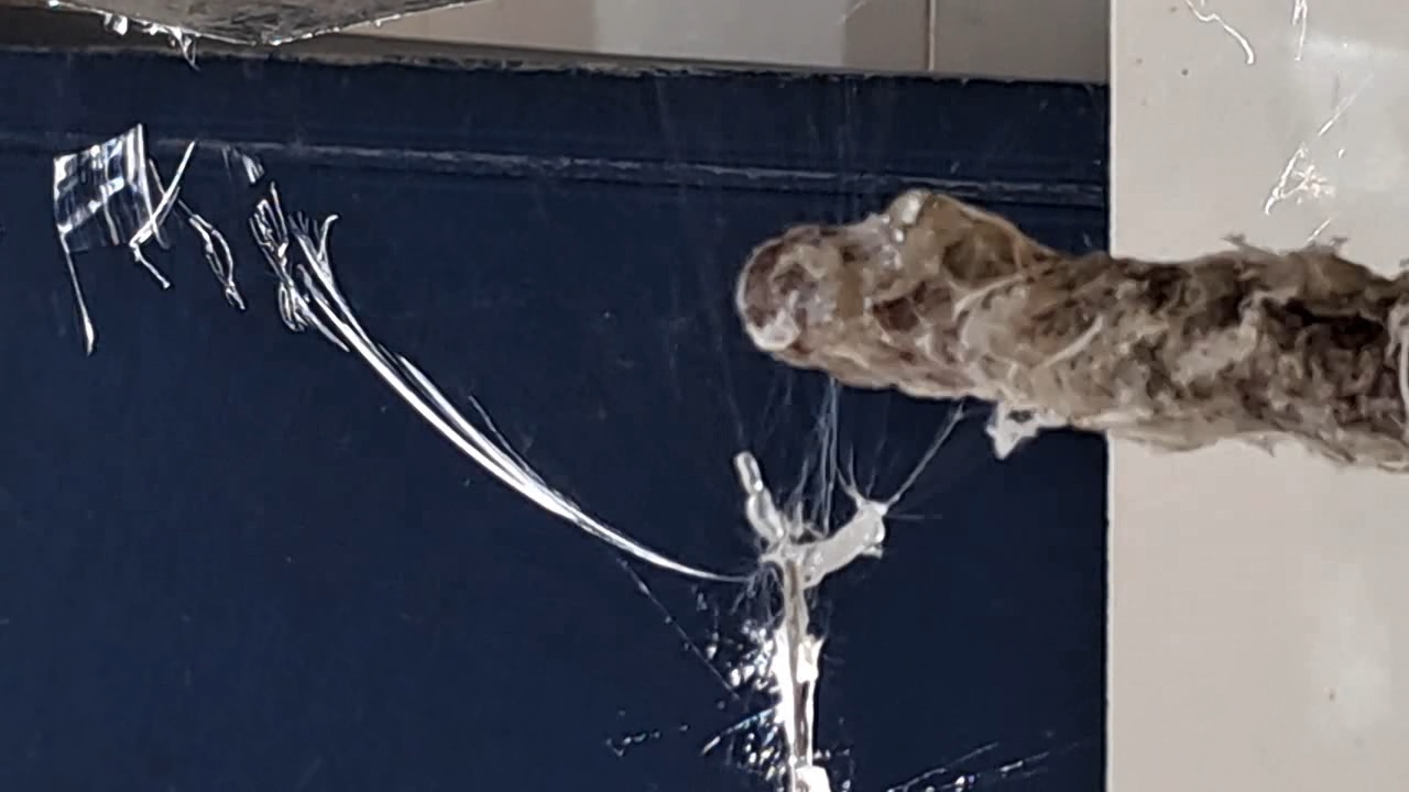 Electrospinning: Solution of Polystyrene in Ethyl Acetate