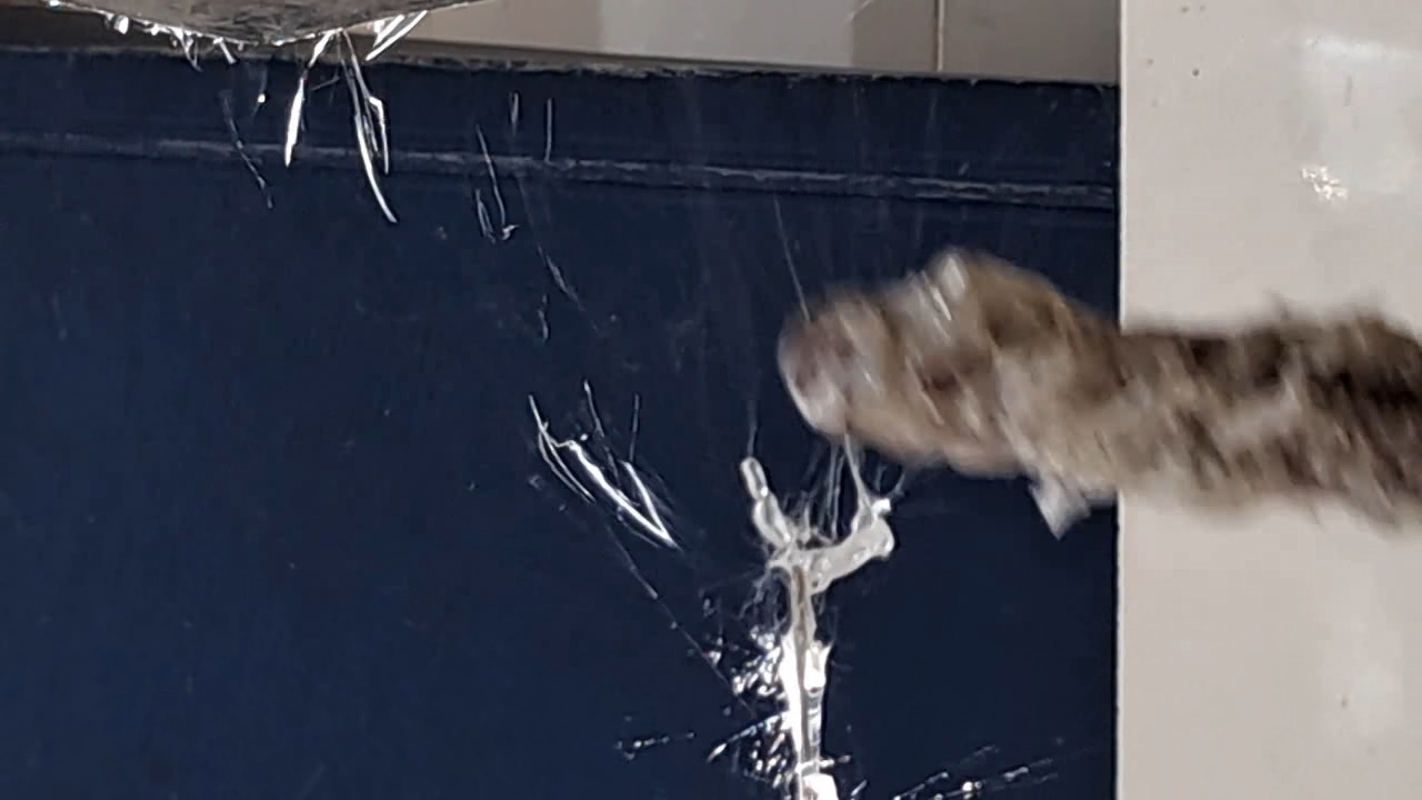 Electrospinning: Solution of Polystyrene in Ethyl Acetate