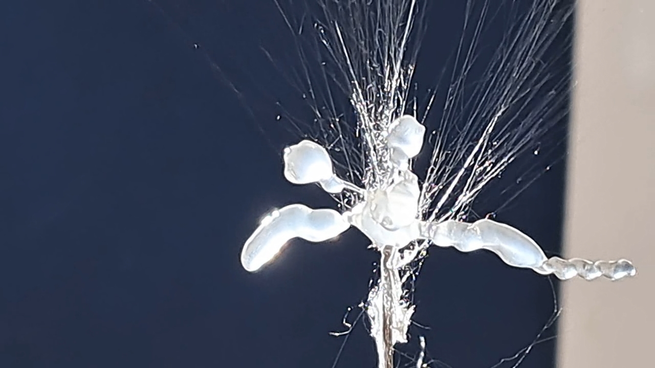 Electrospinning: Solution of Polystyrene in Ethyl Acetate