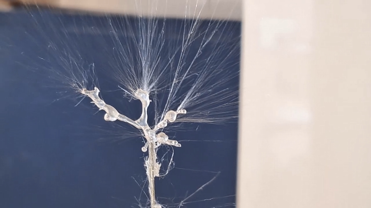 Electrospinning: Solution of Polystyrene in Ethyl Acetate