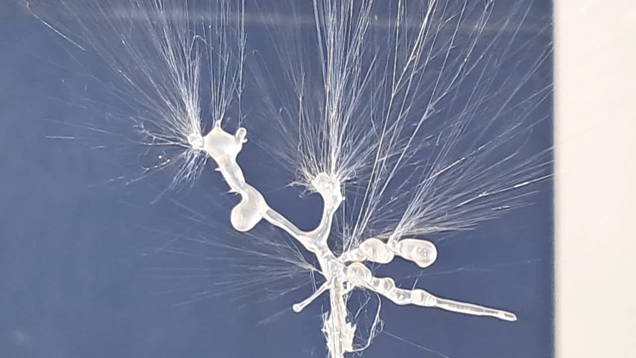 Electrospinning: Solution of Polystyrene in Ethyl Acetate