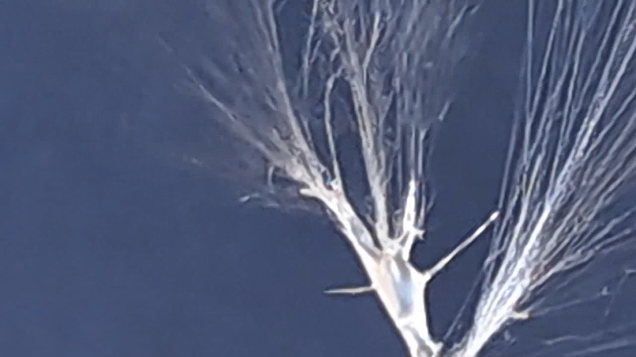 Electrospinning: Solution of Polystyrene in Ethyl Acetate