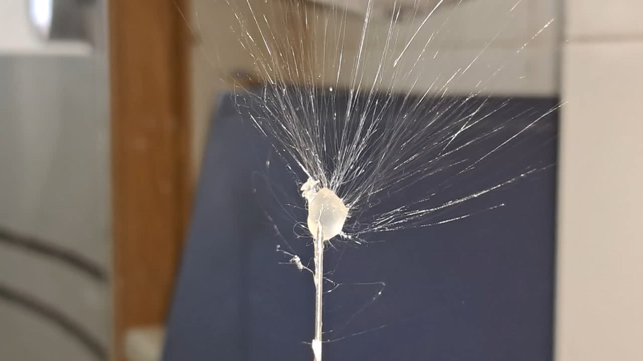 Electrospinning: Solution of Polystyrene in Ethyl Acetate