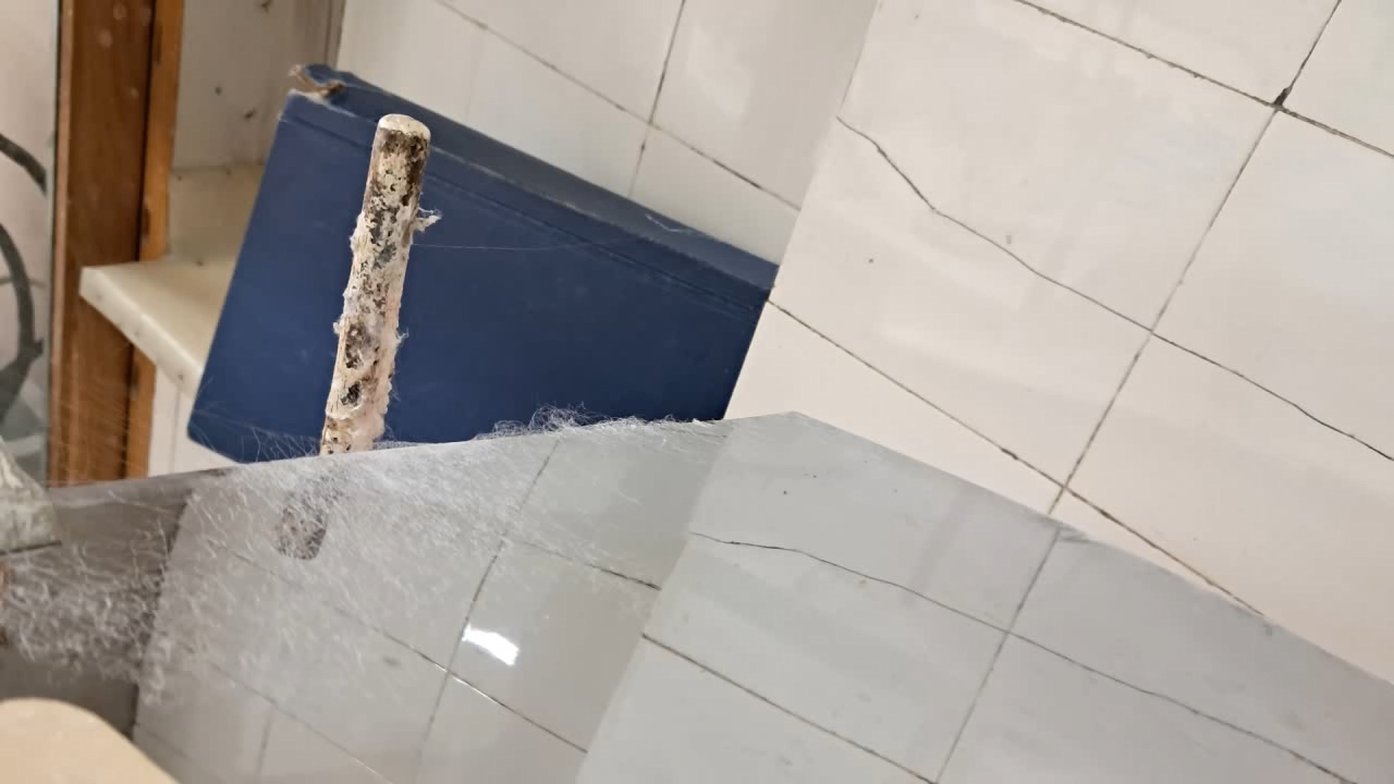 Electrospinning: Solution of Polystyrene in Ethyl Acetate