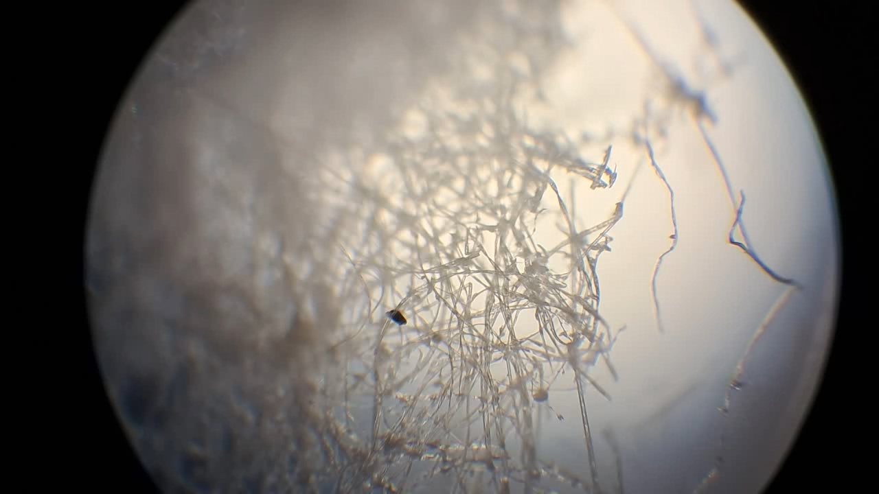 Electrospinning: Solution of Polystyrene in Ethyl Acetate