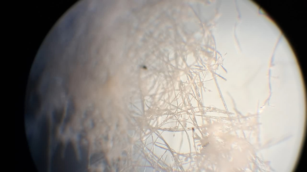 Electrospinning: Solution of Polystyrene in Ethyl Acetate