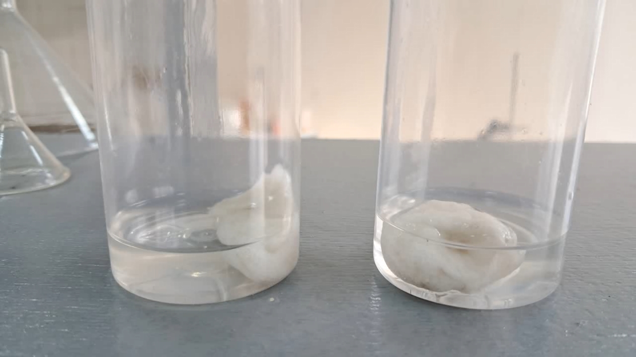 Methyl Acetate, Acetone, Surrogate Acetone, and Expanded Polystyrene