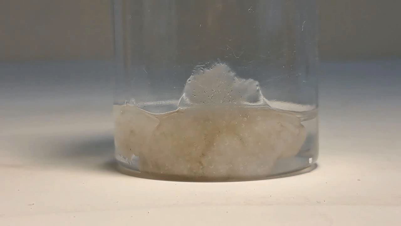 Dissolving Polystyrene in Mixed Solvents. Methyl Acetate Precipitates Polystyrene from Solution in Ethyl Acetate