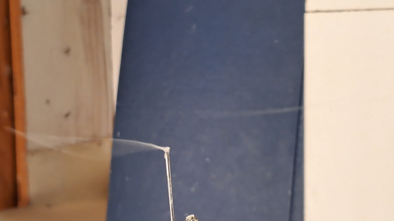 Electrospinning: Solution of PMMA and Polystyrene in DMF