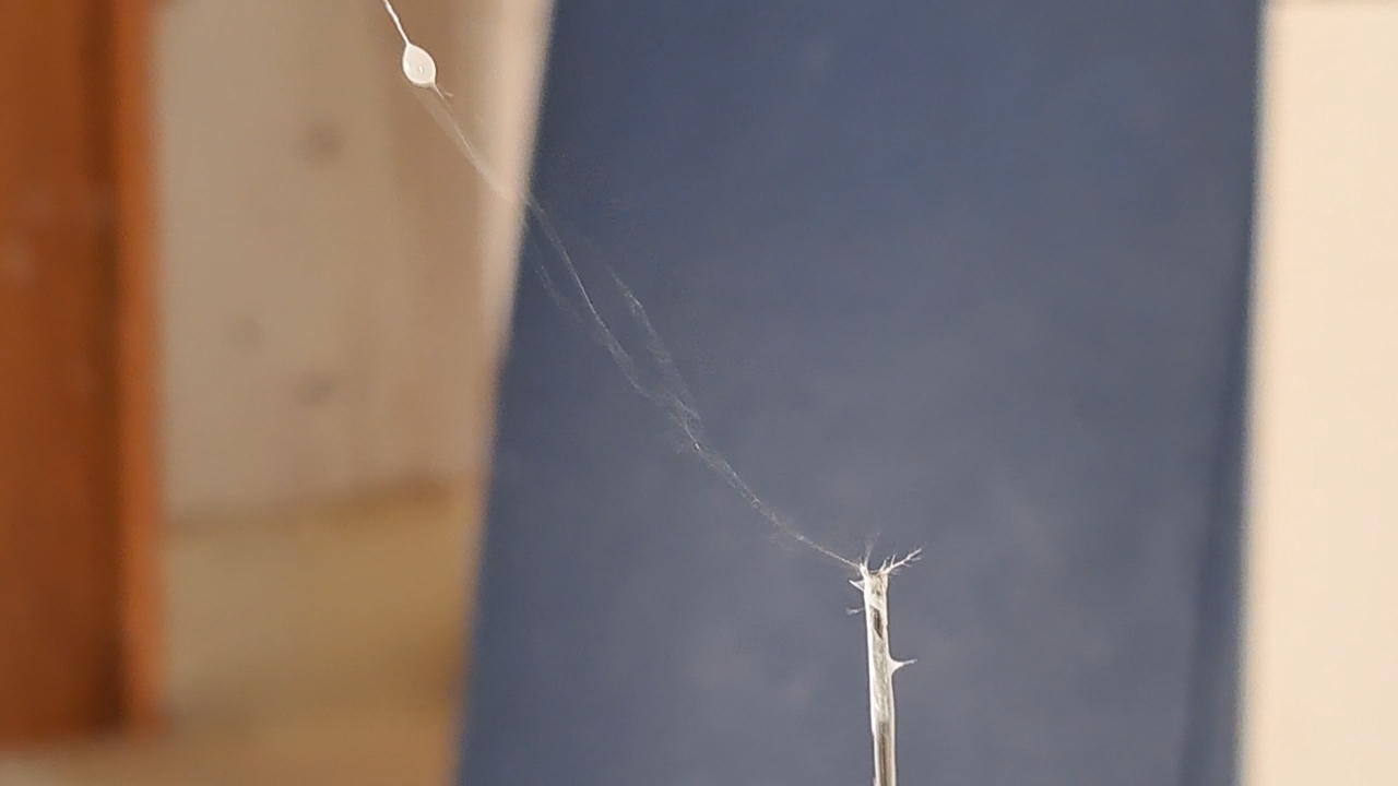 Electrospinning: Solution of PMMA and Polystyrene in DMF