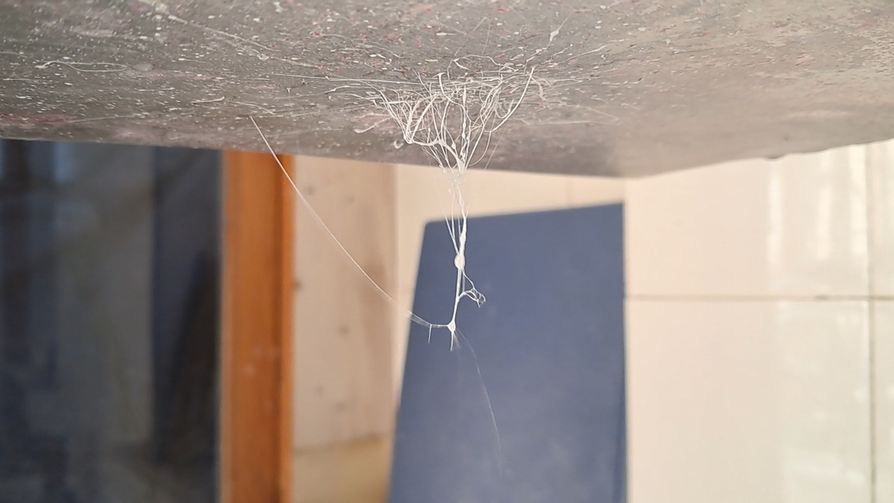 Electrospinning: Solution of PMMA and Polystyrene in DMF