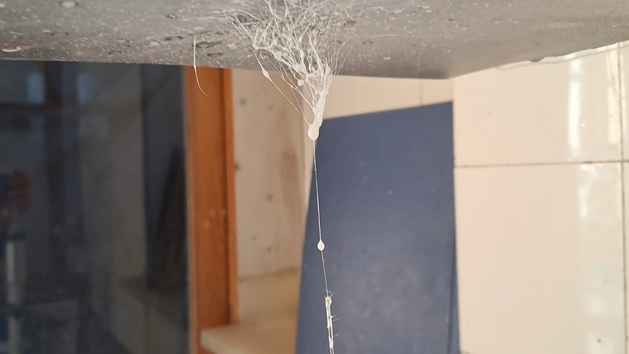 Electrospinning: Solution of PMMA and Polystyrene in DMF