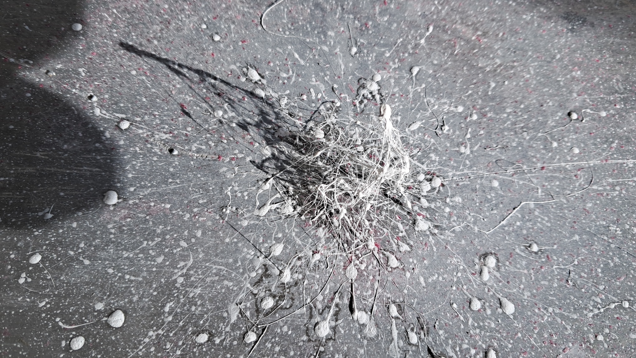 Electrospinning: Solution of PMMA and Polystyrene in DMF