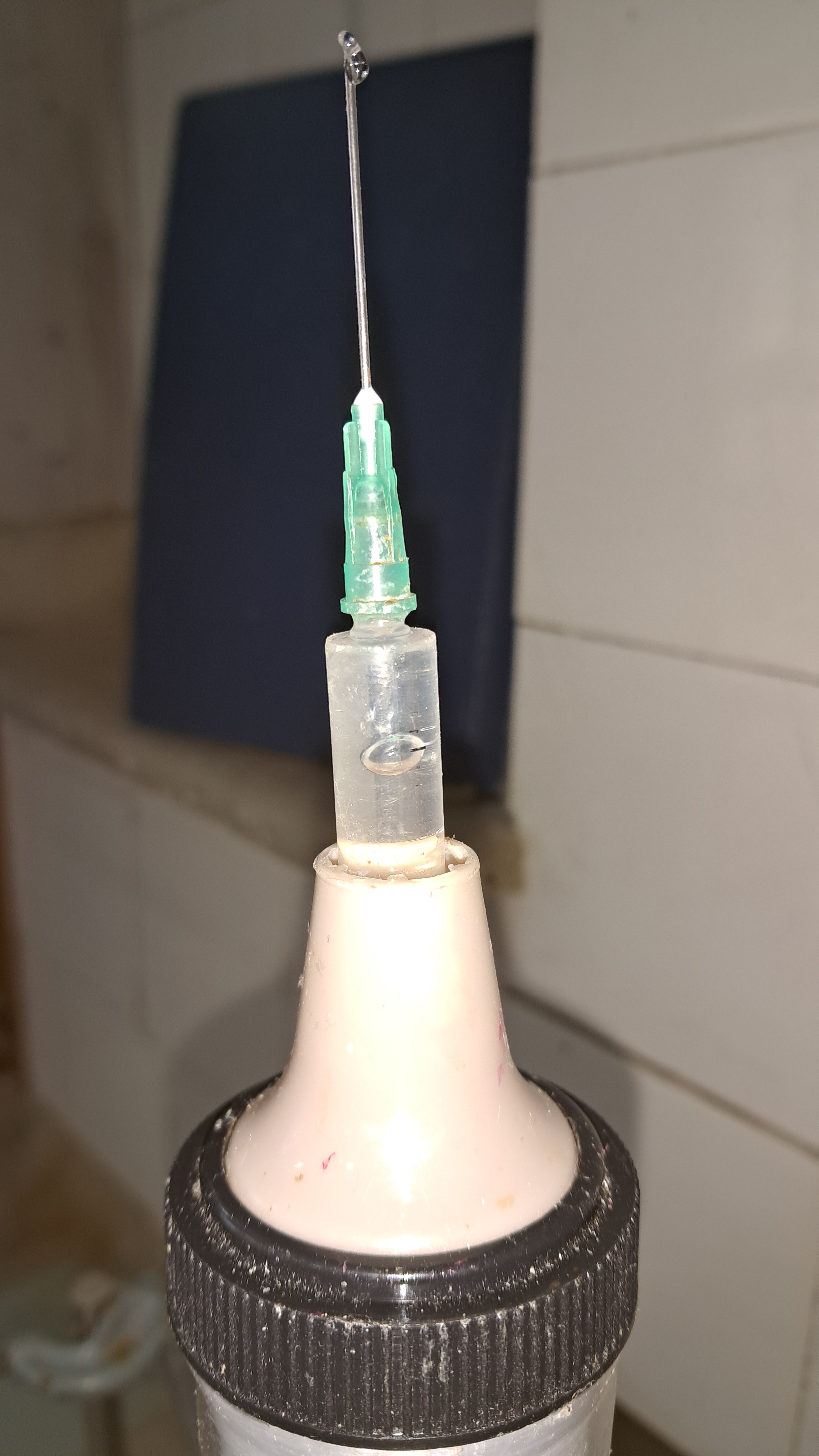 Electrospinning: Solution of PMMA in DMF