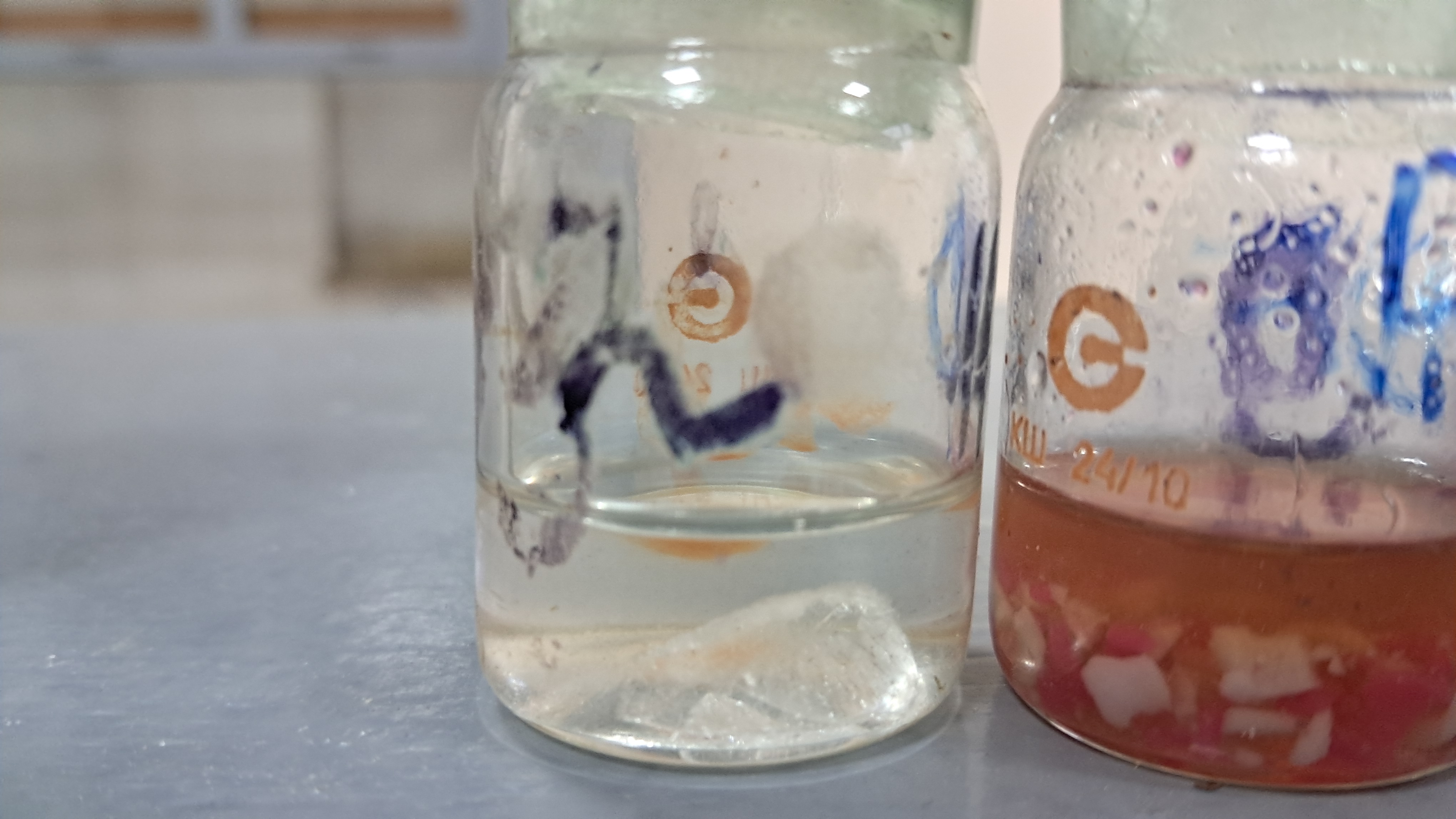 Electrospinning: Solution of PMMA in DMF