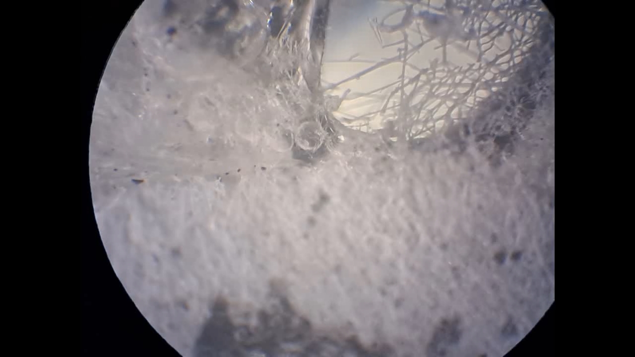 Electrospinning: Solution of Polystyrene in Surrogate Acetone (Trial Experiment)