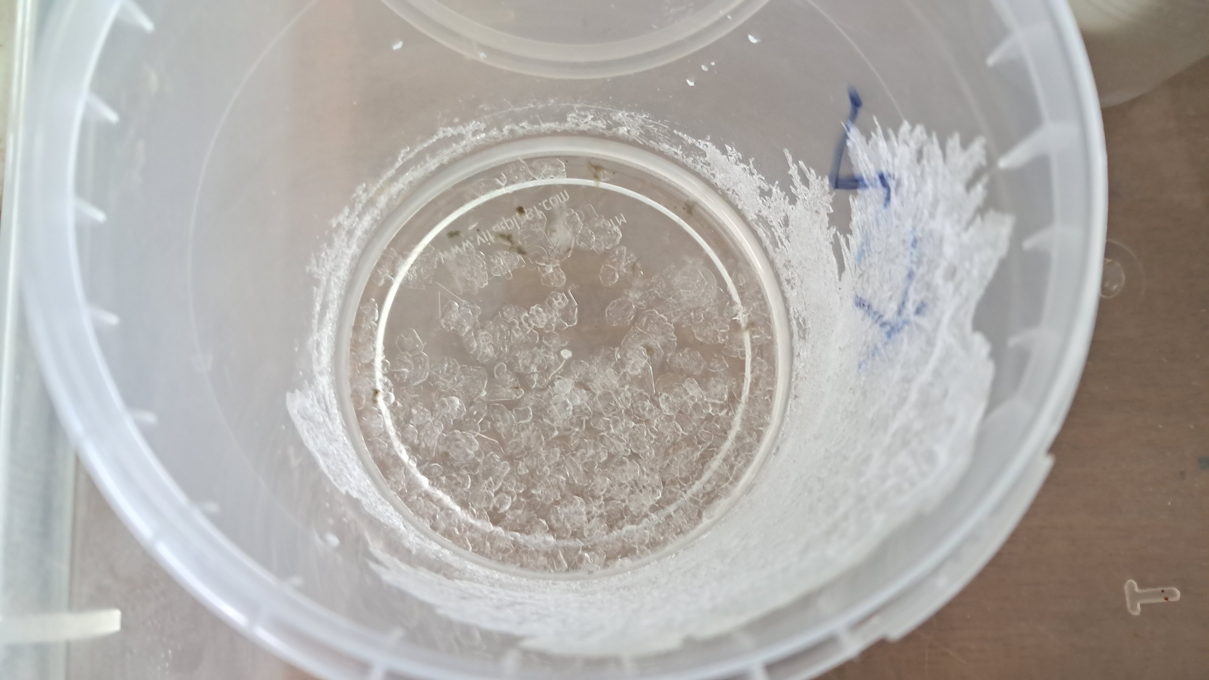 ''Frozen'' Chemical Laboratory