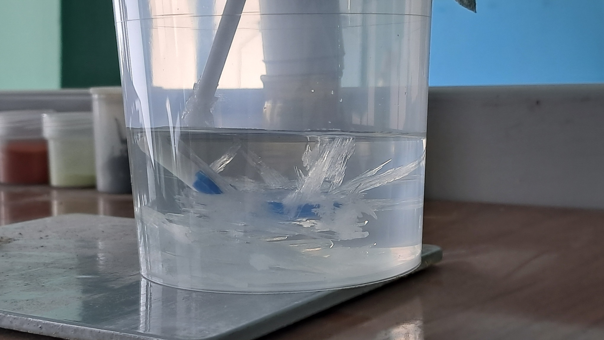 Frozen pH Buffer Solutions