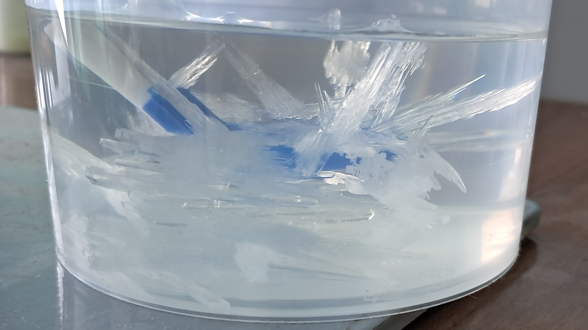 Frozen pH Buffer Solutions