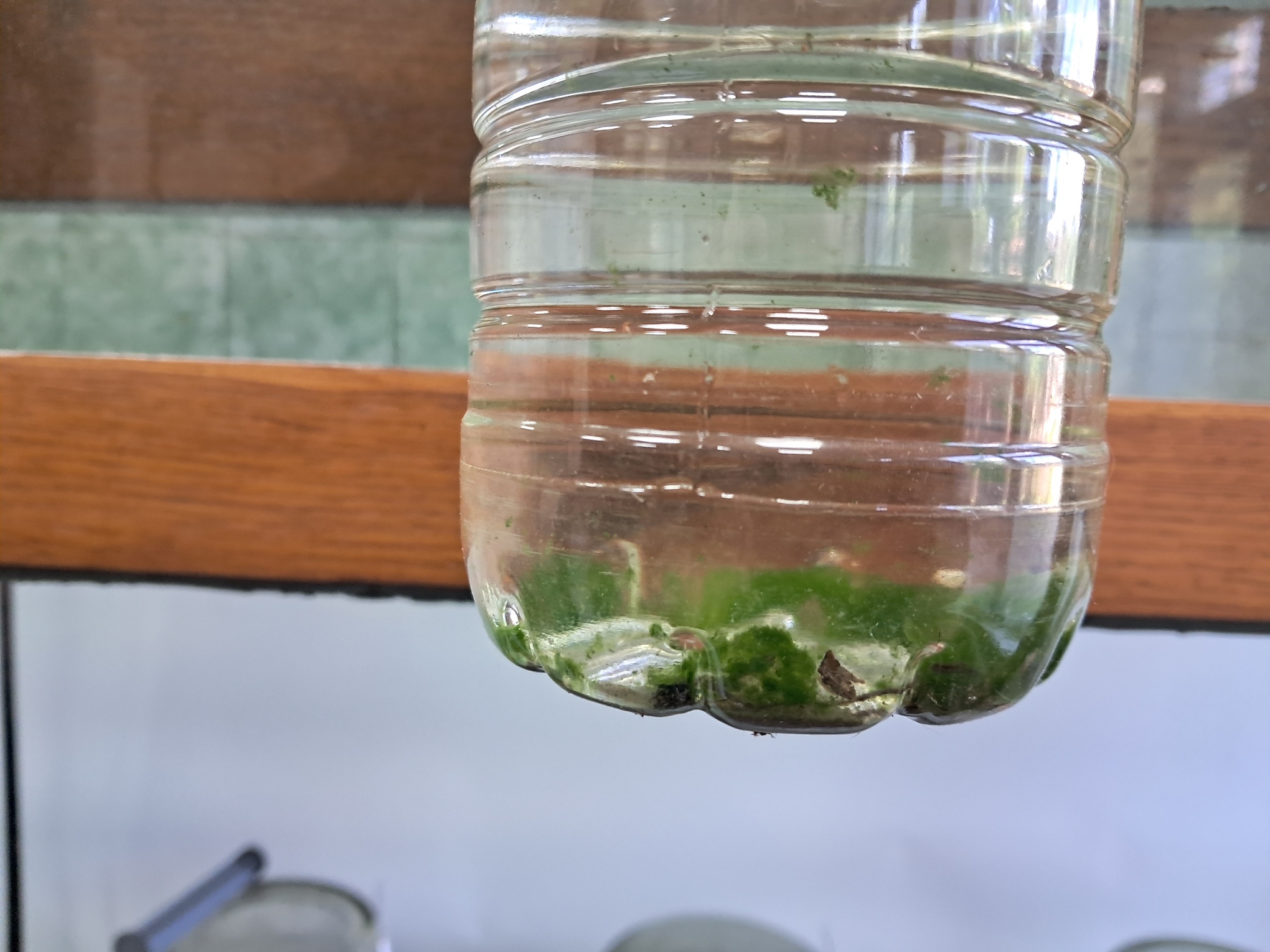 ''Frozen'' Chemical Laboratory