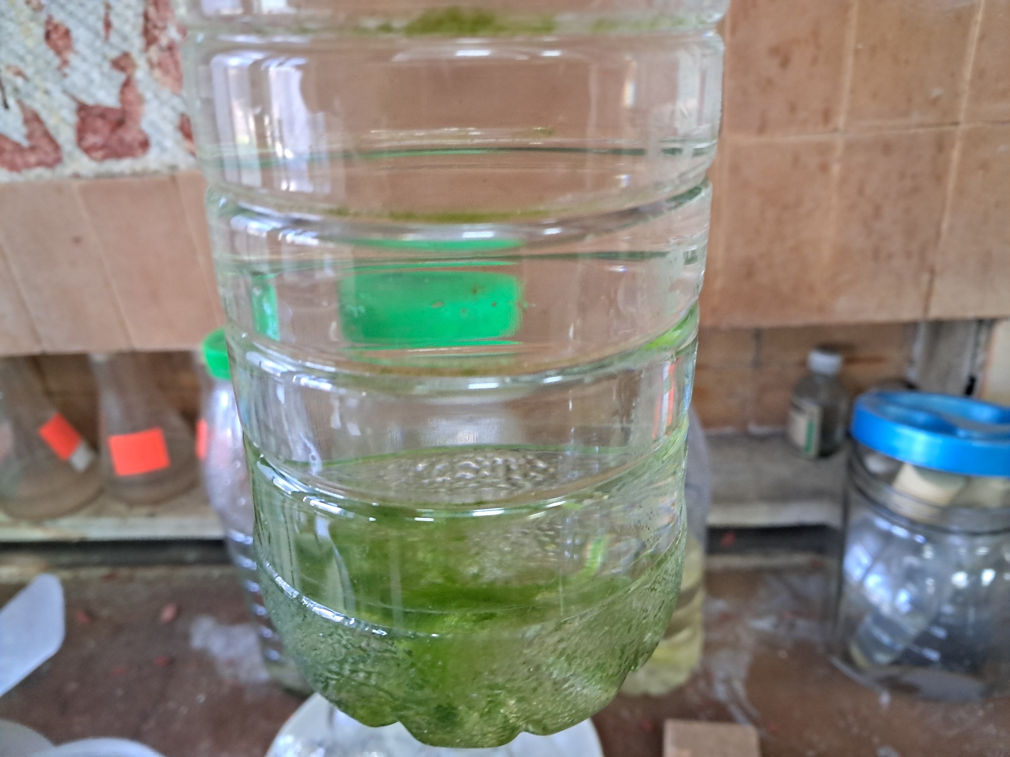 ''Frozen'' Chemical Laboratory