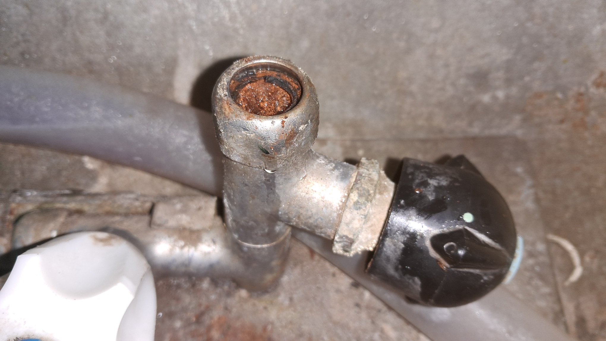 Thaw in the Laboratory