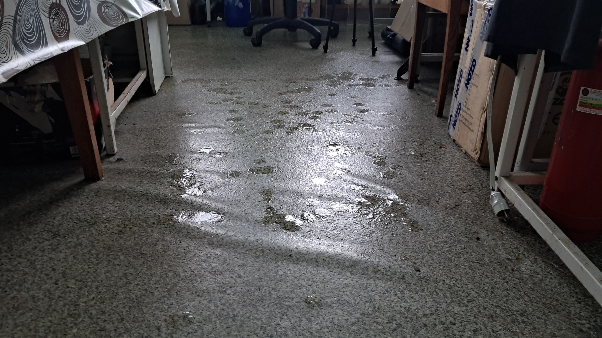 Thaw in the Laboratory