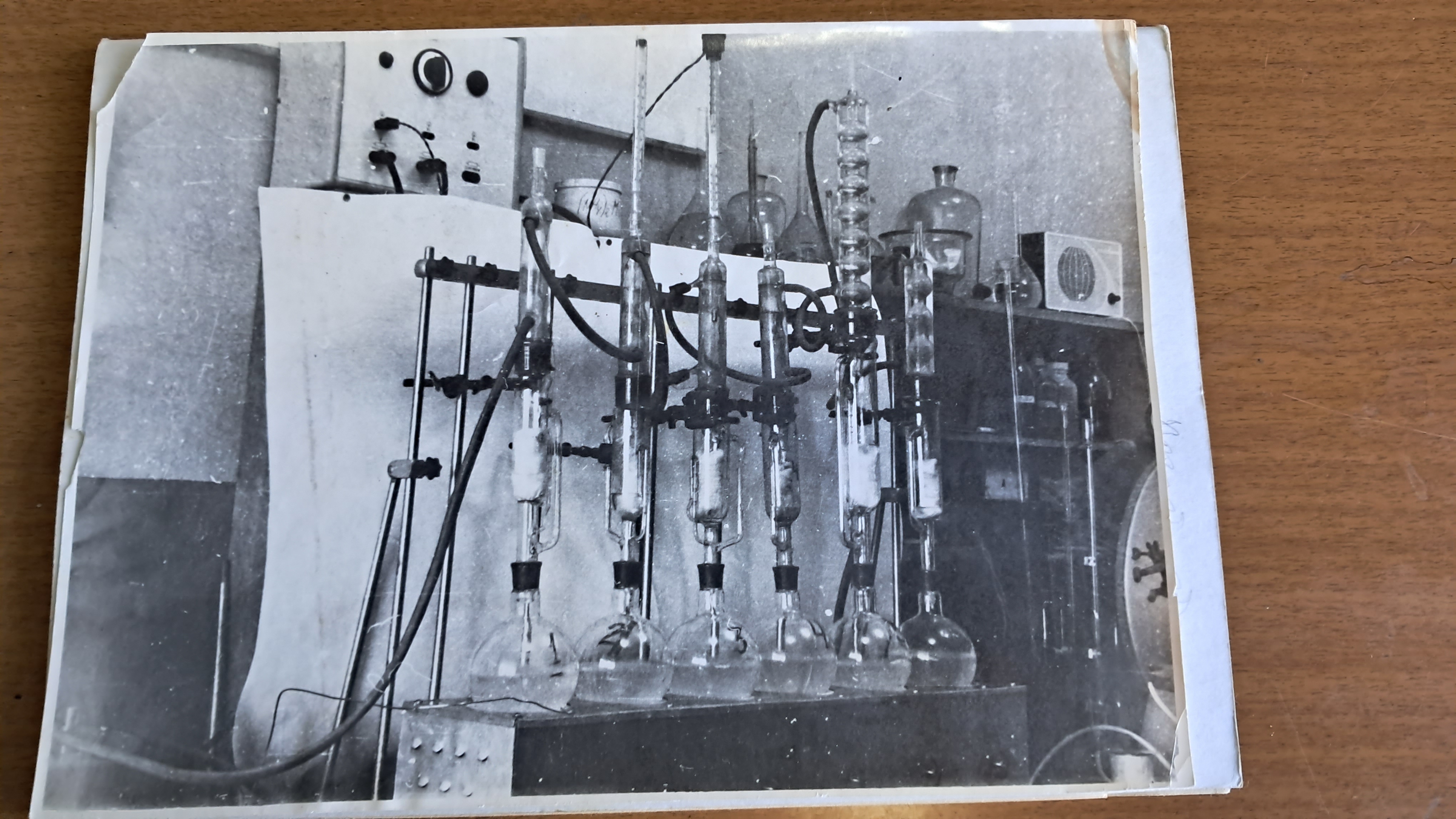 Owls, Cats, and Soxhlet Apparatus