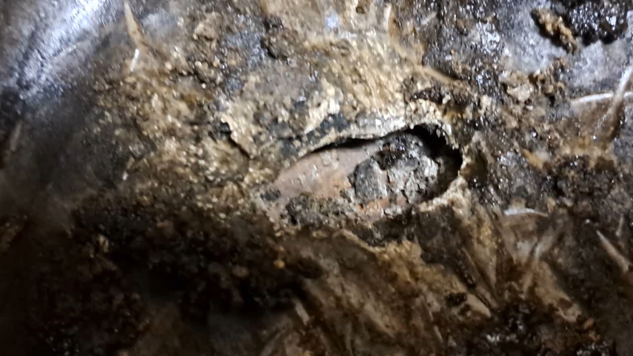 Radioactive Waste Evaporation