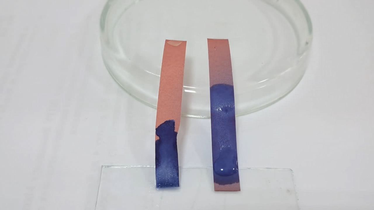 Litmus Paper, Ammonia, and Sodium Hydroxide