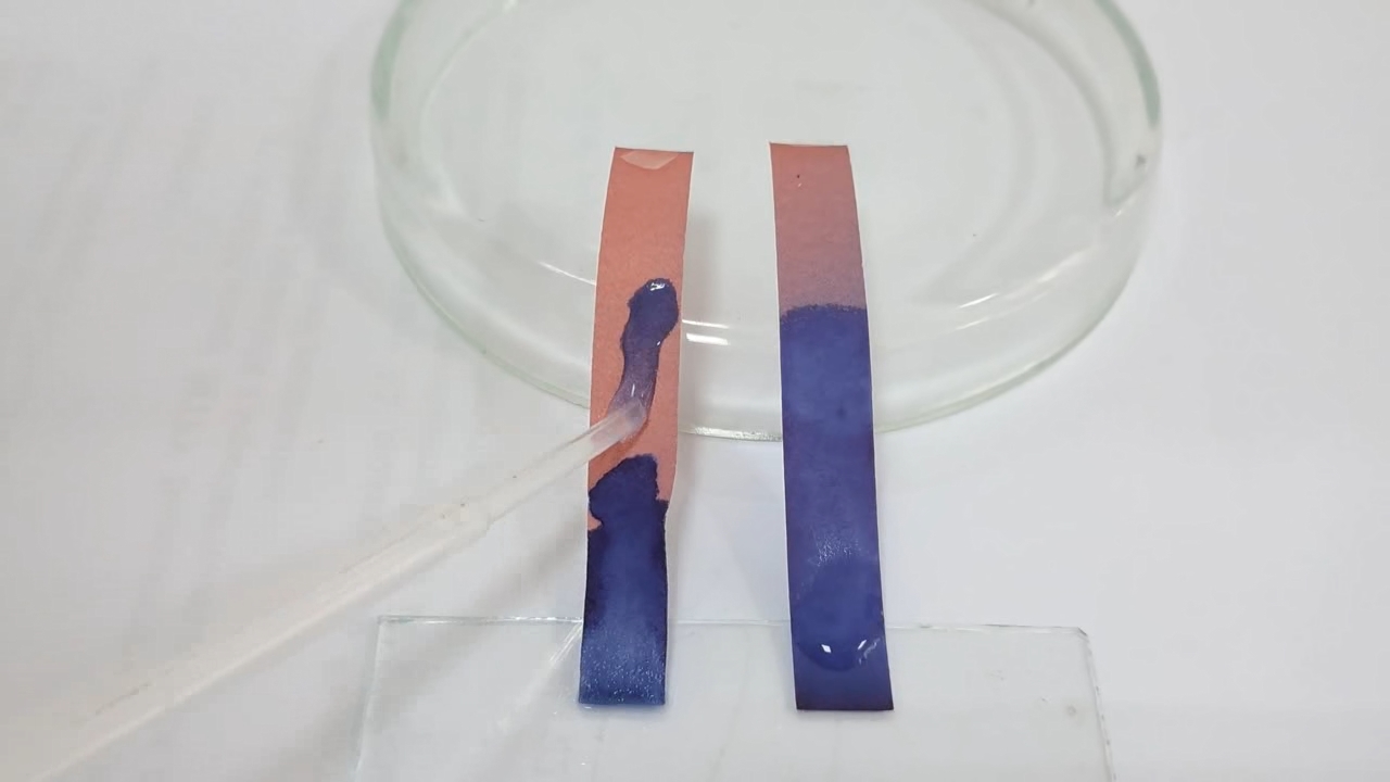 Litmus Paper, Ammonia, and Sodium Hydroxide