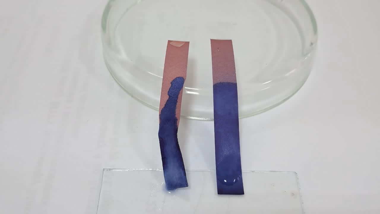 Litmus Paper, Ammonia, and Sodium Hydroxide