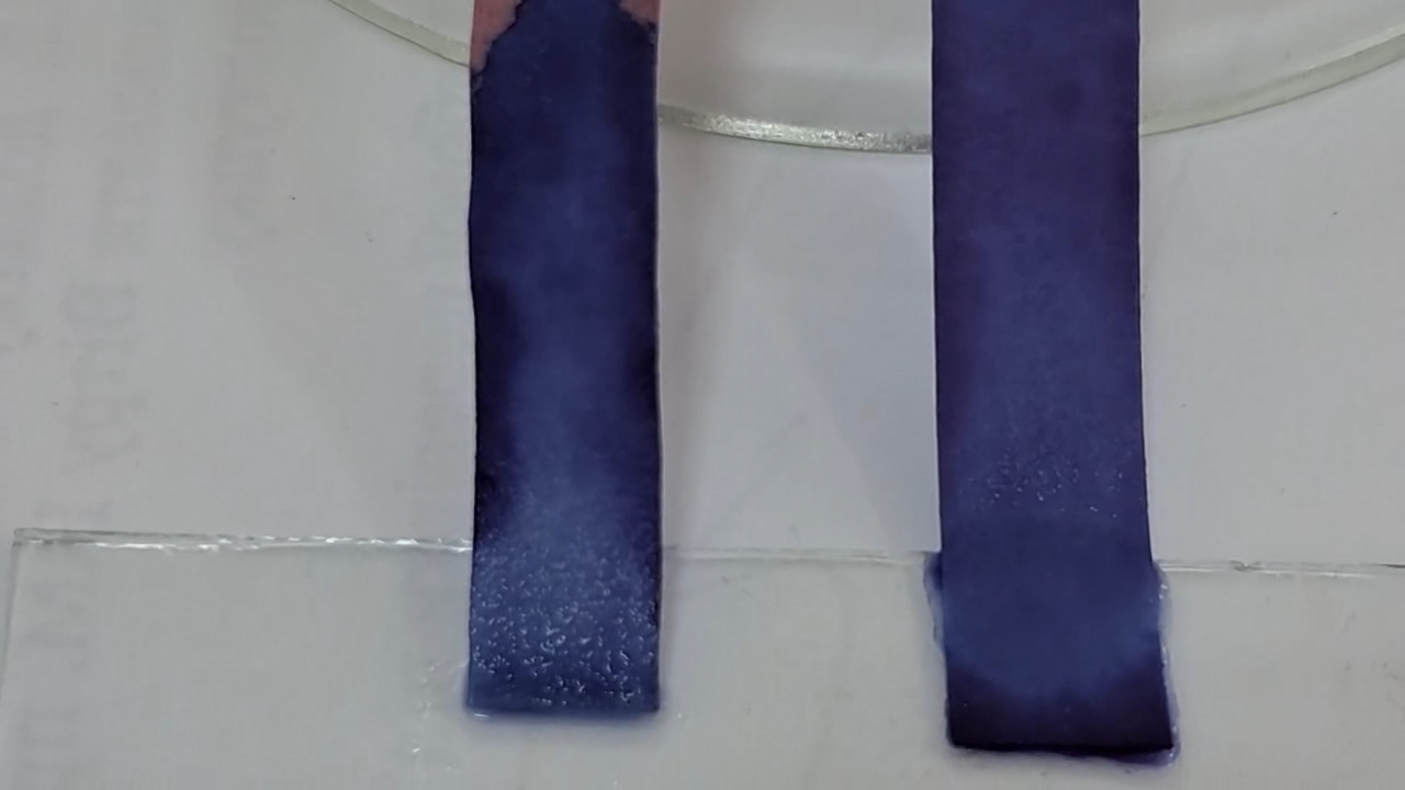 Litmus Paper, Ammonia, and Sodium Hydroxide