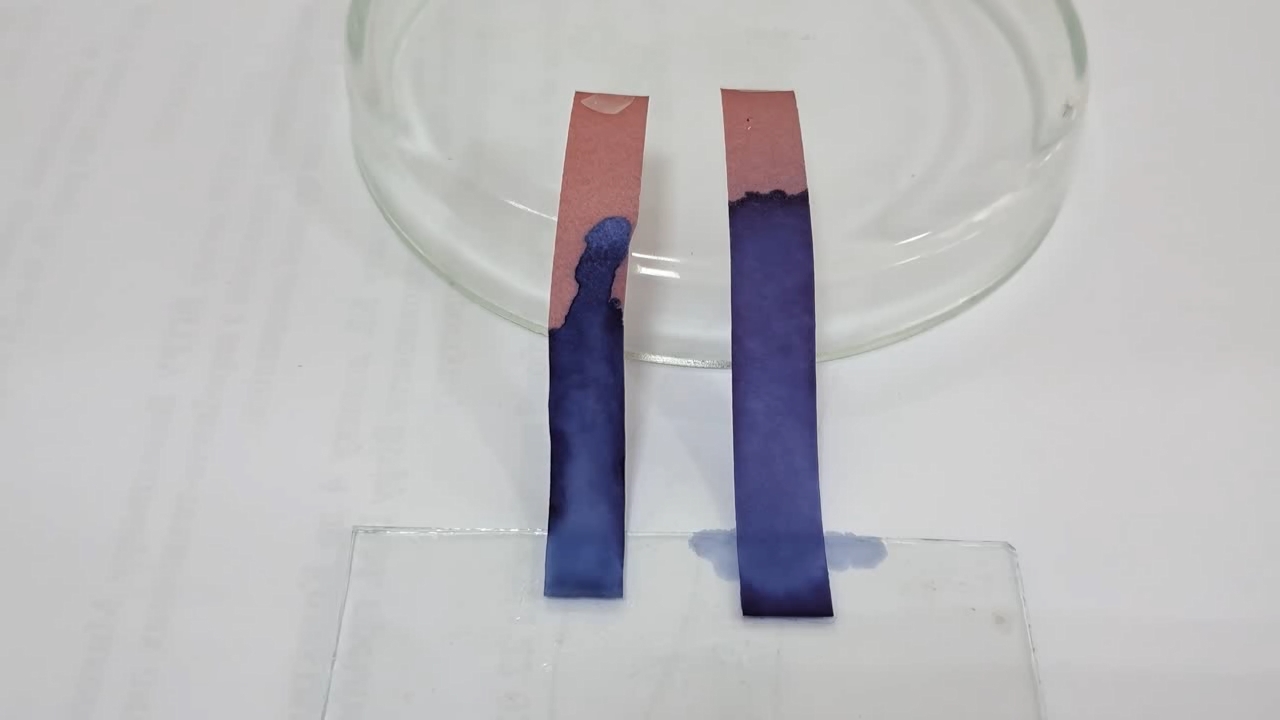 Litmus Paper, Ammonia, and Sodium Hydroxide